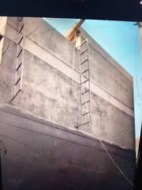 لباخ • قص • بورك وندر