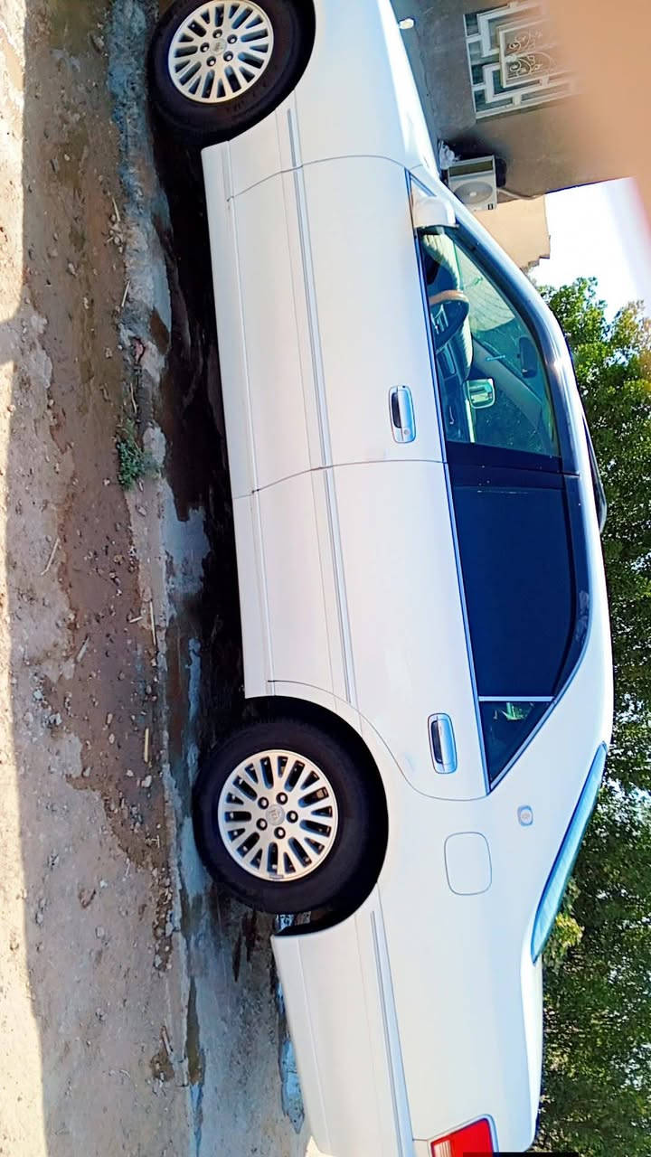 ملكه كفاله عامه من الاصوليات والگص 

⭐ موديل 2000 

⭐رقم دولي قرار 48 بإسمي 
شرط المداور 

⭐محرك C9       vvt✈️

⭐مري شفط

⭐فتحه

⭐مانع نزلاق

⭐لايت زنون 

⭐جام عدد4       Outo

⭐منضومة تبريد جديده

السعر  125 $
العنوان ديوانيه 
***********
