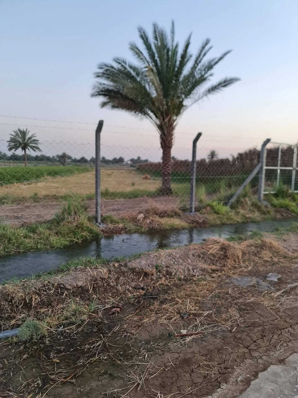 سلام عليكم تتوفر كاع زراعيه للبيع في محافظة بابل سند 25مقاطعه 2عله 18 الكاع مثل ما موضح كدامك الكاع زراعيه أتريد دونم موجود أتريد أكثر من دونم هم موجود أتريد تفاصيل اكثر اتصل عله هاذه الرقم //***********
