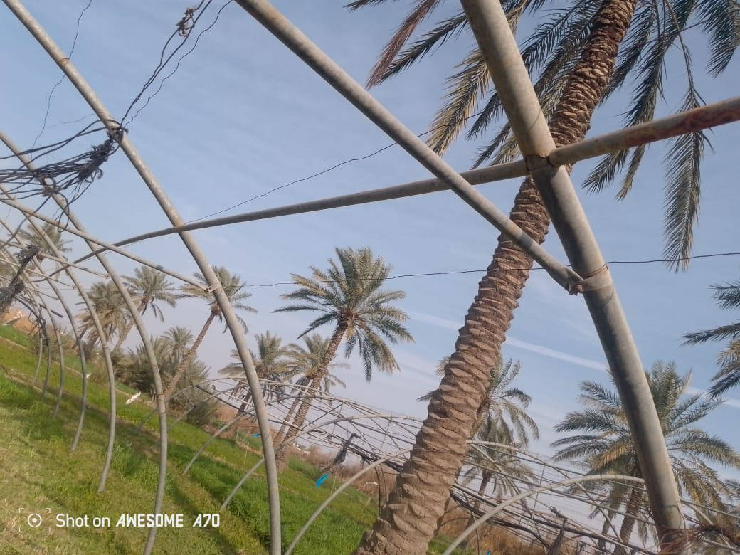 السلام عليكم
متوفر بيوت زجاجيه للبيع 

المكان واسط العزيزيه 

للاستفسار الاتصال ع الرقم ‭0780 493 9488‬
