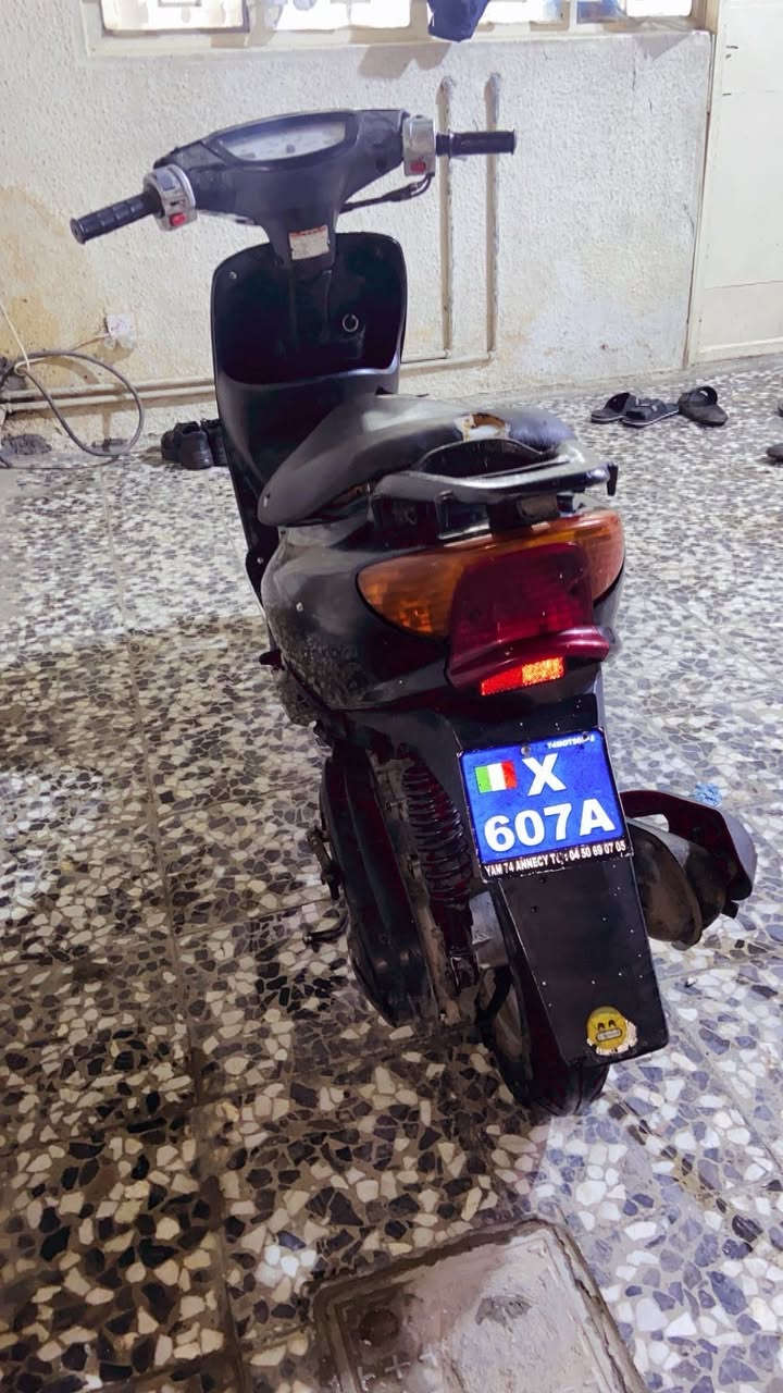 دراجه عصفوريه فحل كامله مكمله نكره سلف وهندر مكاني الشعب البنوك رقمي ***********
