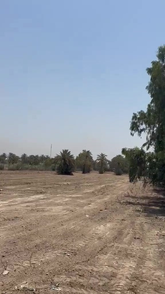 للبيع قطع أراضي طابو زراعي سند 25 
العنوان بغداد منطقة الدوانم مجاور سويب والشرطة الخامسة 
المساحة حسب الطلب من 50متر فما فوق 📞 ***********
