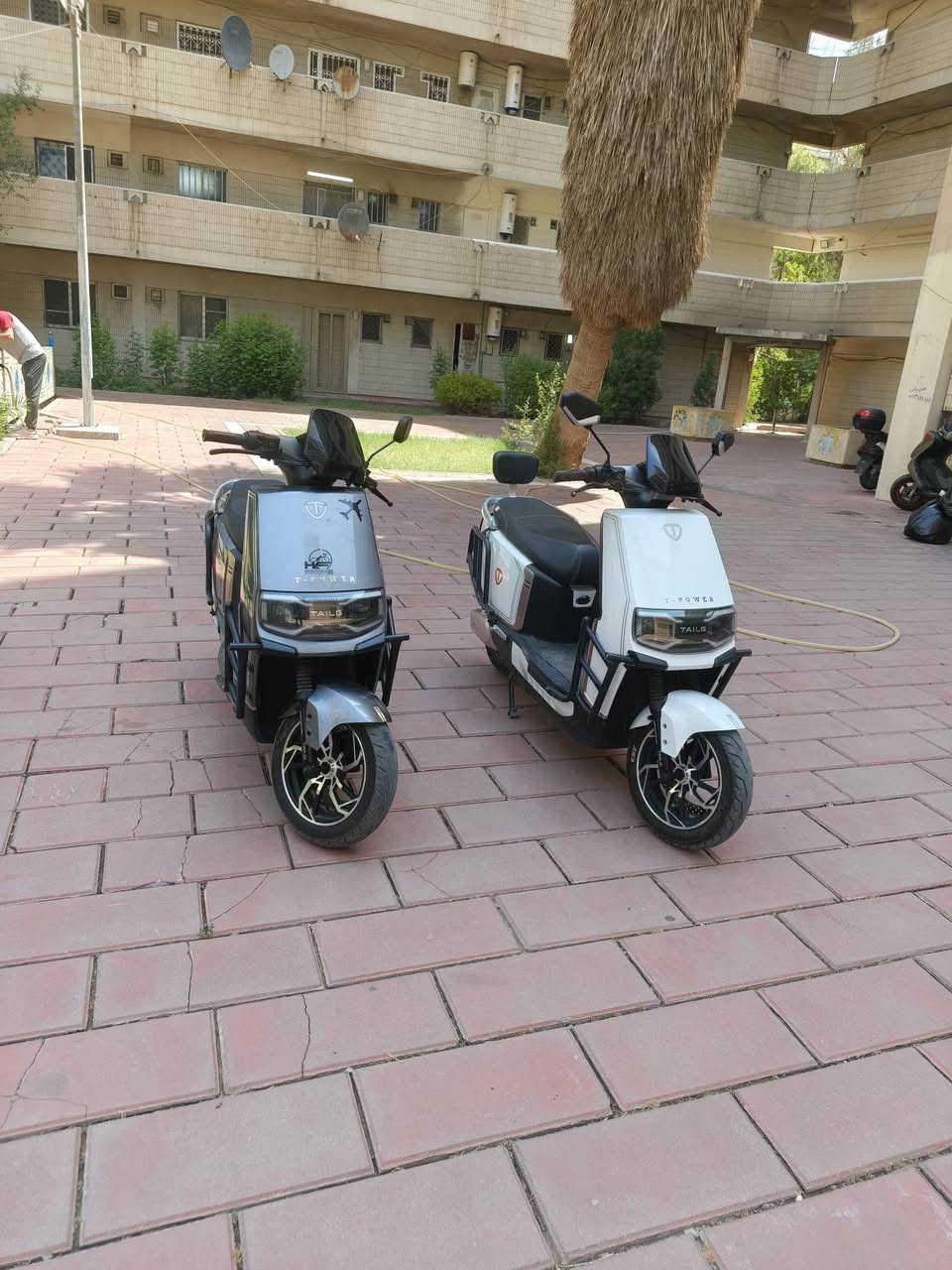 سلام  عليكم  دراجتين  وحش  كون تيسلا تجي  ملف  2000سرعه  70حقيقي فول  موصفات غني  عن تعريف دراجه  كاملات مكمل  مابيه اي  نقص  عل  فحص دبل  سويج ودبل  بصمه  كدام  عين  نضافتهن 95بلميه  ماشيات  قليل  كلش  سعر  وحده  950وبيه  مجال كلش  بصيط  جماعت  850رجاء  لاحد يعق  مابيع    مماني  العلاوي  اي استفسار  اتصل  او  واتساب  او خاص  ***********
