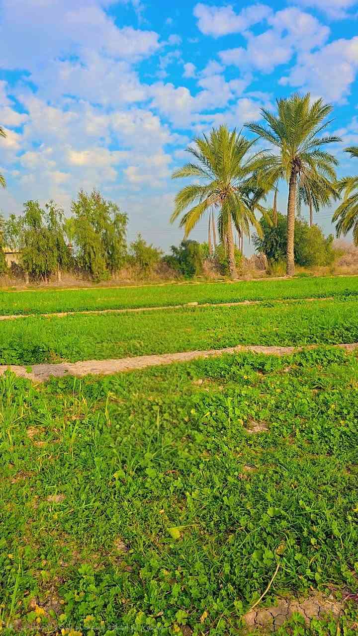 🔥 🌟دوانم للبيع  🌟 🔥
📍تبعد على شارع بغداد الموصل 
▪️  3 قايق
▪️ سعر الدونم 75

🏡 ملائمة لـ: ✔️ سكن ✔️ مزارع ✔️ استثمار
✨ موقع ممتاز •  بغداد التاجي 
📞 للاتصال:  ***********
📱 واتساب  ***********
