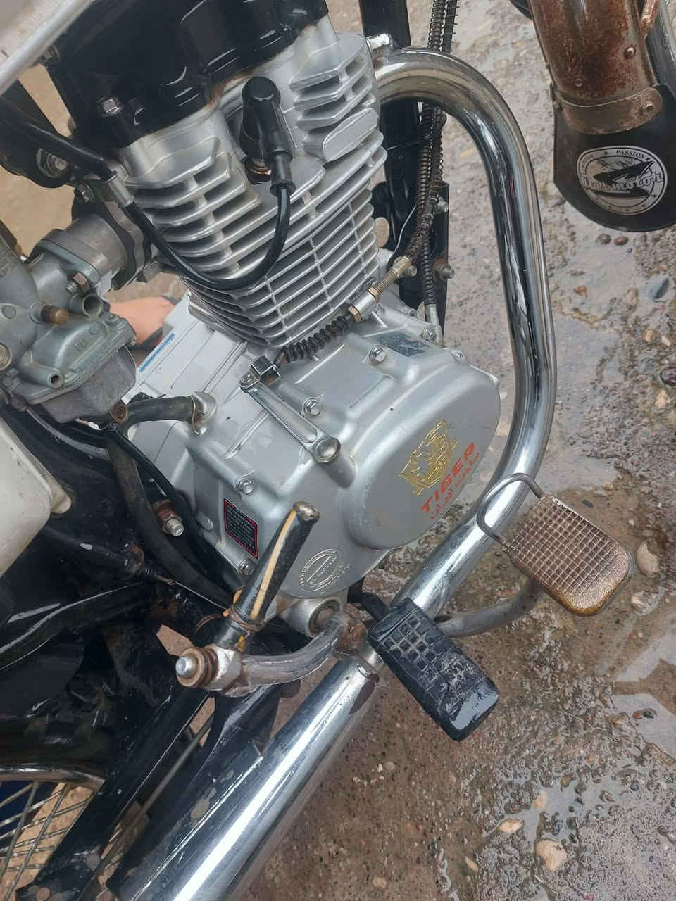 تايكر 20ابو بصمه مكينه شرط مامفتوحه سعر 390وبي مجال حك جيتك ***********
