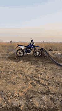 قفاز گاويار • ٢٠٢٥ • ٢٠٠ سي سي