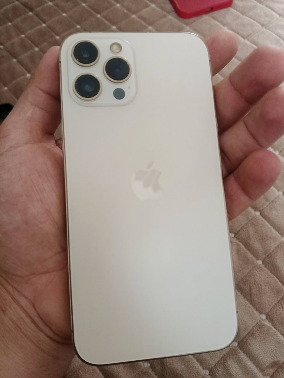 12pro max 512
مبدل شاشه سوفت اوليد
فقط
سعره 300 وبي مجال 
***********
بغداد حسينيه

