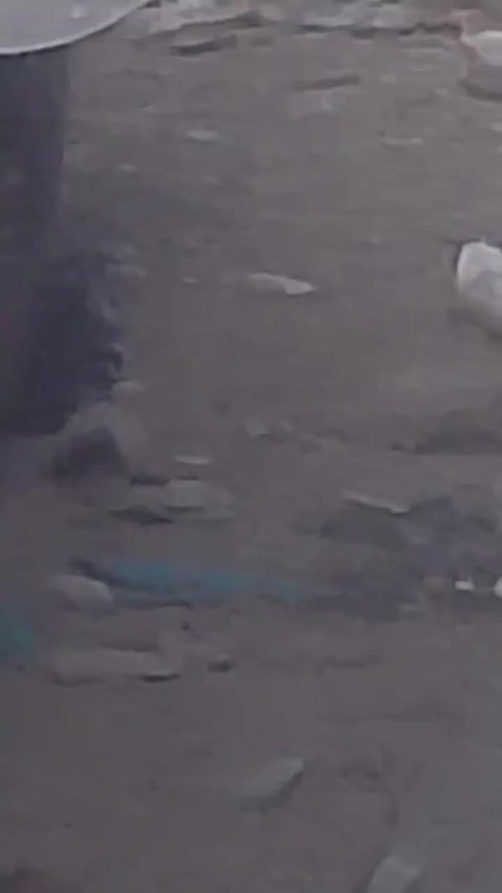 السلام عليكم اخوان باص( مرسيدس)اريزار للبيع مكينه 6مرسيدس 3فيش ادبلوا اكسور مجموعه ام سيوف ضخم تايه حداديه جديده 67راكب رقم وتساب ***********
