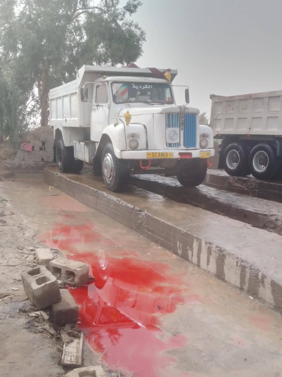 سكانيا 111للبيع 
سلام عليكم سكانيا 111 للبيع مكينه سوبر كير5+5 تخم اكسن خفيف كاردن اوربي رقم تأميم كلج جديد كهربائيات كله شغاله سياره بلاديه سبرنكات بلاديات لشراي اتصال على رقم ***********خاص ماجاوب ما متواجد عل ماسنجر 
لمو شراي اعبر لمنشور رجائا
