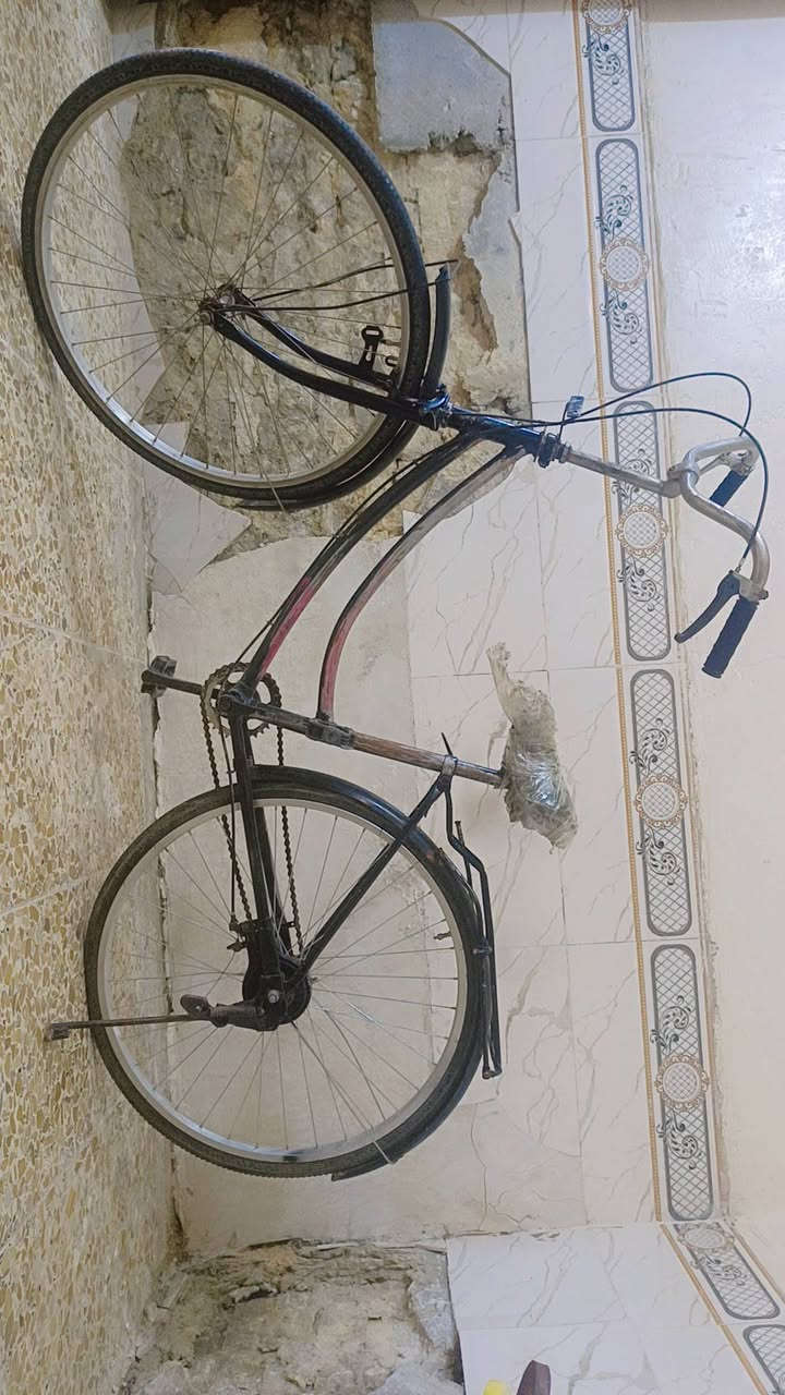 ب
٤٠ وبي مجال بسيط  بس بنجر بي بتاير الوره


**إذا كنت صاحب هذا الإعلان وتريد حذفه لأي سبب، رجاءا أرسل رسالة إلى الدعم الفني**