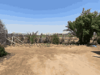 مرحبا… دونم للبيع مع بيت 300 متر متوفر ماء وكهرباء ومدارس العنوان مشاخيل خفاجه مقابل قرية الخلاويين 
يحتوي البستان على  55 نخله شويثي و برحي
رمان زيتون رارنج نبك وتين وتكي السعر 45مليون البيع لعائلة فقط 
***********
