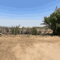 مشاخيل خفاجه • دونم • بيت 300م