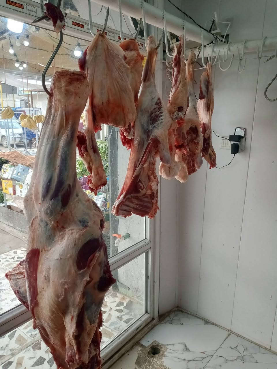 اللهم صلِّ على محمد وآل محمد

تم افتتاح علوة مخضر وسمج ودجاج وشوي وقصابه طه ابو يوسف حي فرات السوك مقابل جامع الفرات ومجاور مدرسه الطبري نورونه موجود كلشي وكلاشي وكله يوم بيومه ولتوفيق من الله   وهاذ رقم بي واتساب ***********
