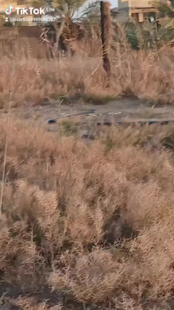 3000 متر طابو اسهم تحويل المكان الزديناويه على طريق السياحي خلف مدرسة الواثق سعر 1000 متر 80 وبيها مجال الشري انتصل على الرقم ***********
