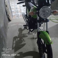 شاينك • سكنر • ٢٠٢٦