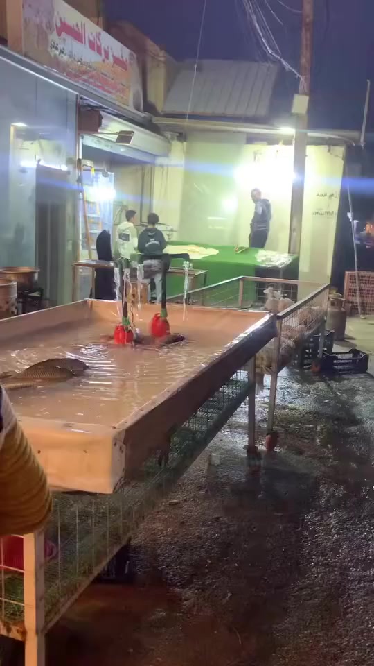 السلام عليكم ورحمة الله وبركاته علوة واسماك سعيد التميمي للفواكه والخضار والسمك  والدجاج الشوي مستعدون لتجهيز كافة المناسبات المكان الامين الثانية مقابيل الدكتورة فريدة يوجد لدينا خدمة توصيل رقم الهاتف 
***********
***********
