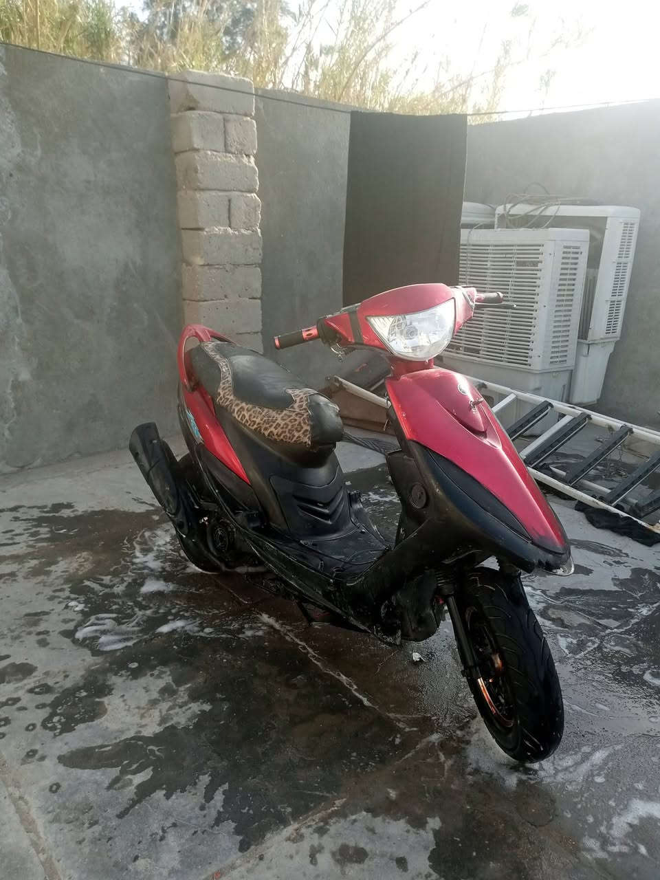 سلام عليكم للبيع دراجه ماكس عدله مكفوله. كهربائيات شغاله بوشه 55شاصي مكفول فول تزويد صالنصه اف ام ويل رياضي سعر 350 مكاني المجد شراي يجي خاص هاذه رقمي للتواصل. بروح الحسين المايشتري لا يتعبني خل يعبر المنشور ***********
