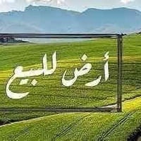 طريق الدغاره • ٨٢٠م • سياج حجر