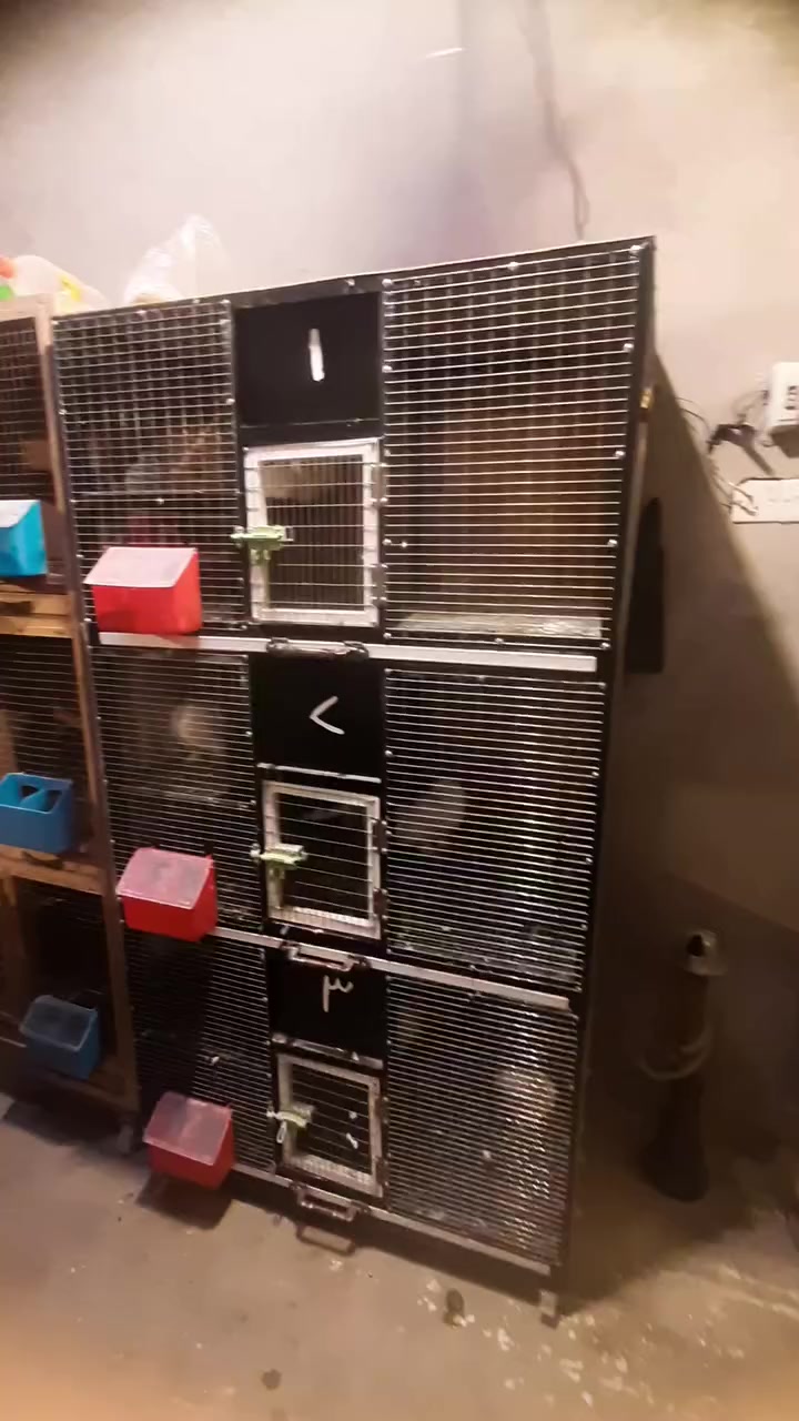 متاح قفص للبيع***********
