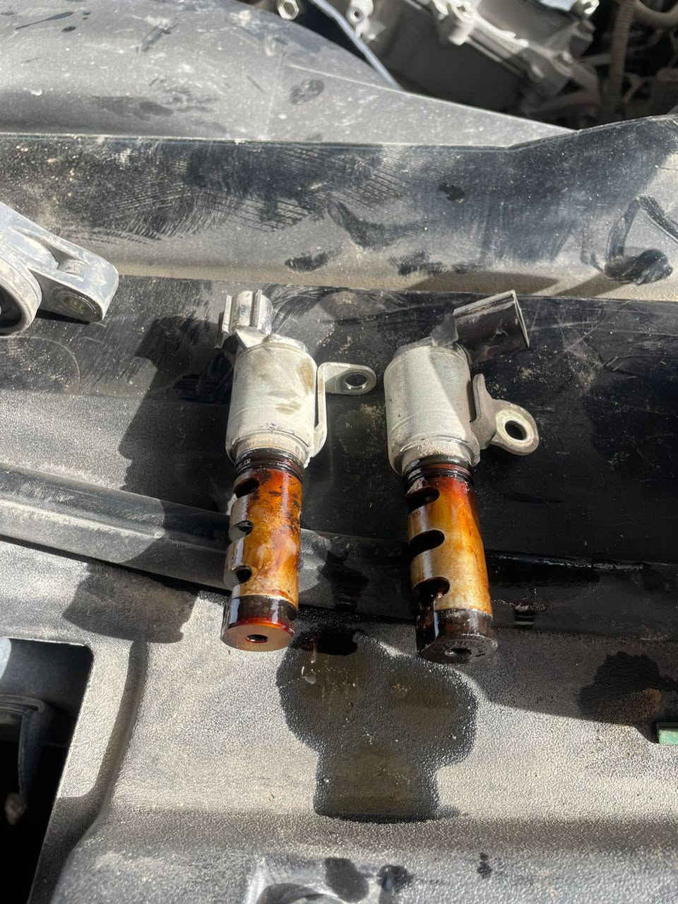 ادامة وتنظيف نوزلات وحساسات وفحص فيت بم كربلاء سريع المعلمين *********** رويال للصيانه
