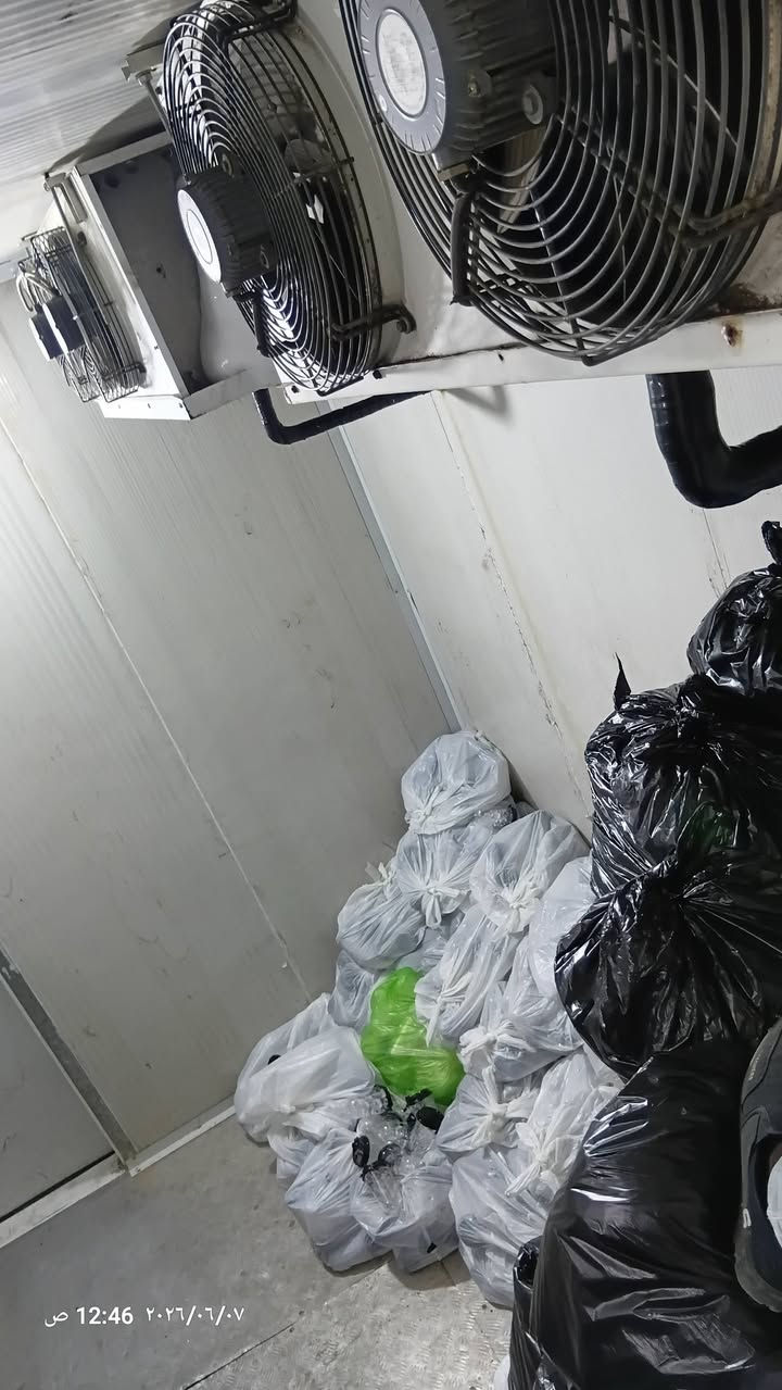 شغلنا يحچي عنا… وراحتك تهمنا ✨مستعجل؟ولايهمك🫡
*📲اتصل نوصلك وين ماتكون*((***********))
صيانة التبريد المركزي والبكجات وغرف التجميد والتبريد
بخبرة كادر فني محترف (اختصاص) جميع الاحجام والماركات
3فيز وسنكل فيز/[معالجة-ادامة-صيانة][العمل بقطع الغيار الأصلية حصراً]
عمل الكادر بكل الاوقات  24 ساعة جميع ايام الاسبوع 
يتوفر وتساب او اتصال مباشر ***********
