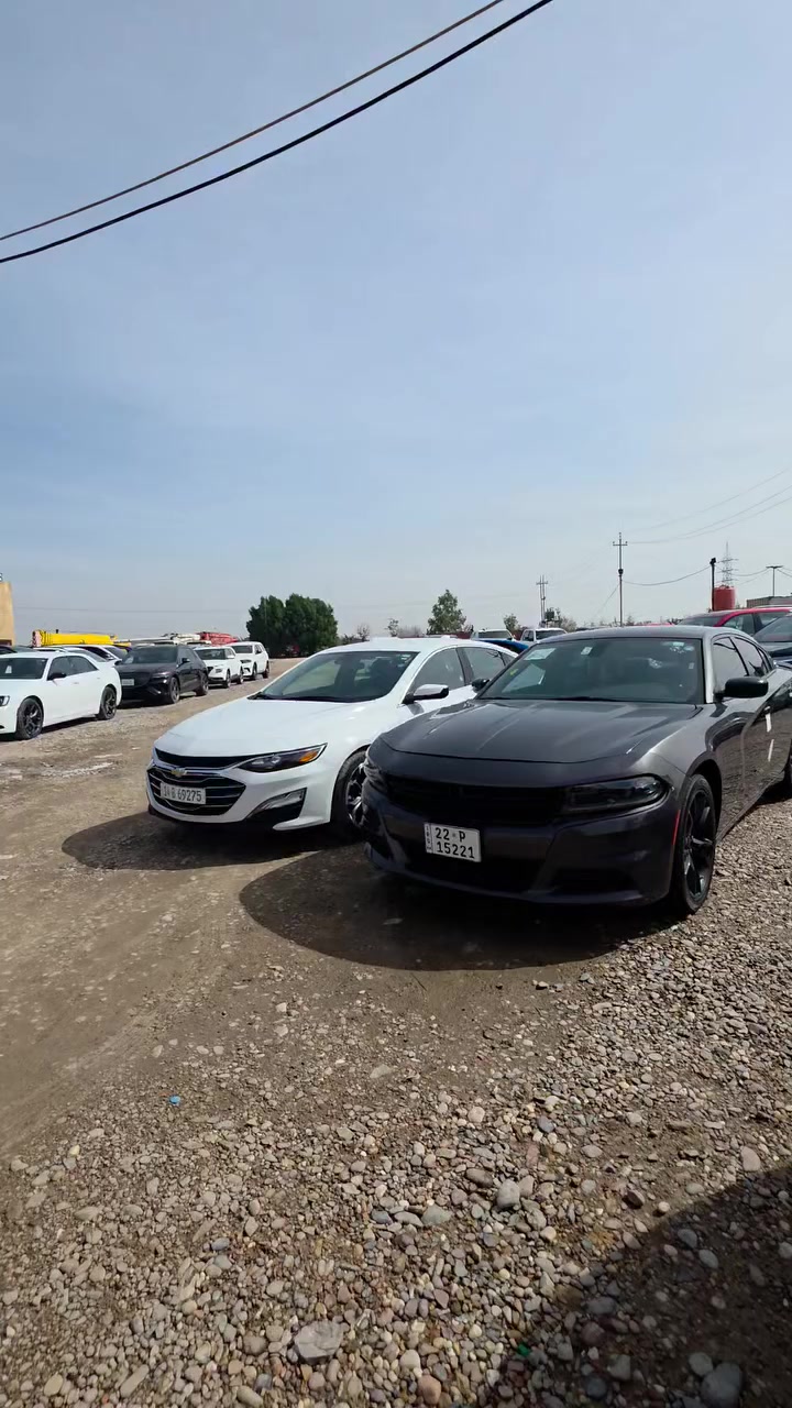 السلام عليكم اخوان***********
وجبه سيارات وارد امريكي
بتاريخ،،10/2/2026
متوفره في معرض جعفر للسيارات للوارد الامريكي 
العنوان البصره - الزبير - المعارض 
قرب شركه أمجاد العراق لتصنيع الكرفانات
للاستفسار(*********** )جعفر داود
#معرض جعفر للسيارات للوارد الامريكي
