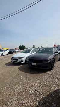 وارد امريكي • ١٠/٢/٢٠٢٦ • البصرة الزبير