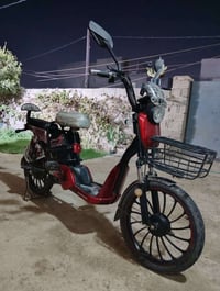 دراجة شحن • حجم كبير • واسط قضاء الأحرار