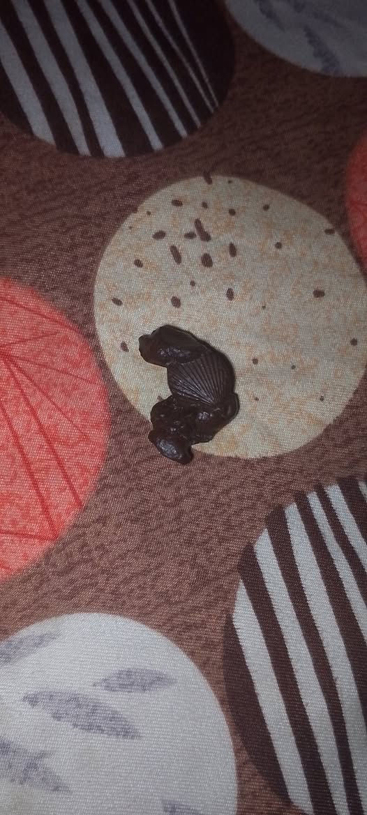 احجار للبيع كلمن وسعره بيهن عطف وبيهن هبهاب وبيهن جزع وبيهن سليماني وبيهن عروك مكاني بابل والي يسئل ليش مامخلي صفحتي الرسميه اني اراسله على الخاص مكاني بابل توصيل ماعندي *********** بيه واتساب
