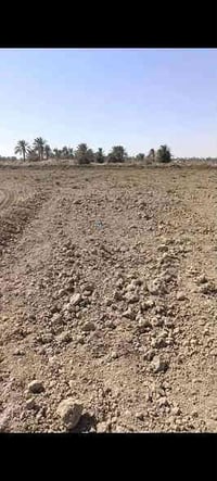 المحاويل المرجانية الثالثة • أرض زراعية • طابو زراعي