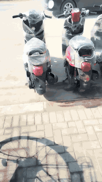 توفرت كافت انواع دراجات ماكس بوليسي مصطره عدد3 ماكس منغولي وبيجي وعدله...