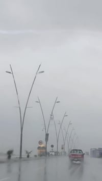 الموصل • سبيرولينا • تدليل خاص