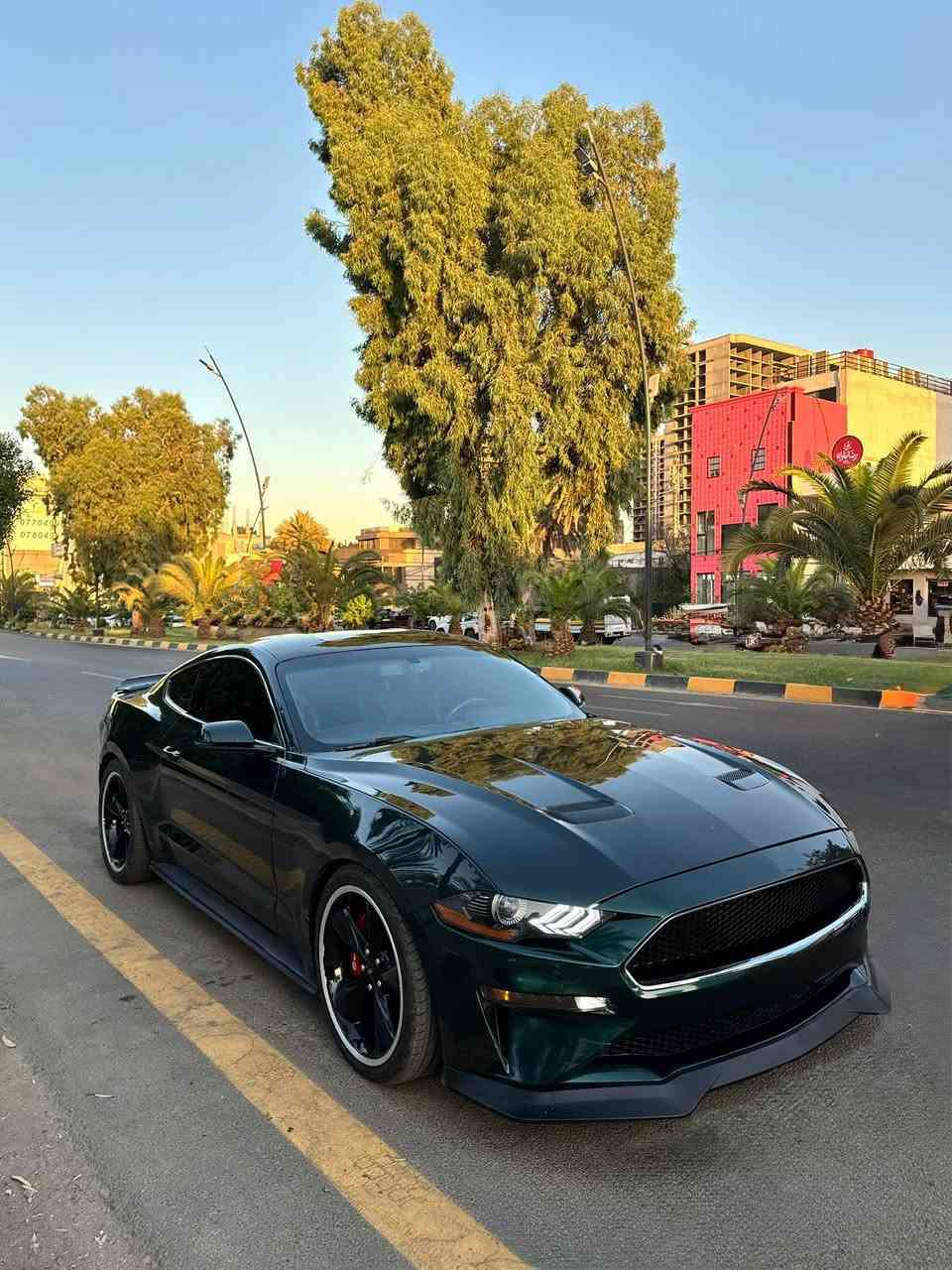 المدفع  للبيع  Gt  bullitte🔥🕹️
  
الموديل: 2019
المحرك: V8 / 5000
الكير: عادي
العداد: 34 الف 
اللون: اخضر زيتوني
الحالة او نوع الضرر: 3 قطع  صبغ  
المواصفات: فول مواصفات للخير خنك لان بولت 1/1
 الاضافات و التزويد:
شباب البولت  لتقارنها بالجيتي العادية  5  قطع  لو ٦ بالعراق 
كير عادي بي رف ماتج
عداد دجتل
عدادات تراك بكج
رادار جانبي
رادار خلفي
كشنات ريكارو بلاديه
دركه كاربون فايبر
سيستم سماعات b&o
اكتف اكزوز
التزويد عليها شوتة شيلبي 
ثلاجه شيلبي
هدرز ugr 
واكس بايب
داون بايب 
كلج مكلاود 
سقف رولز رويز 
دفيوزر شلبي
بكلايت سموك اوربي 
السيارة  مبرمجة  بوب كورن  طلقات  وكت اوف 
بين قوسين سيارة قوية  مال زللم
مطلعة رقم حلو عالداينو + 500hp 🔥
رقم بغداد جديد  سنوية باسمي  تحويل ثاني يوم.
السعر  خاص   وادري   حتضوج  بس خابرني وبخدمتك   اني 
هذا رقمي  مكاني  اليرموك او زيونة  ***********  سجاد الخفاجي
