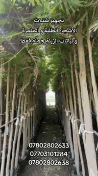 مكتب الربيعي • خدمات زراعية • البصرة العشار