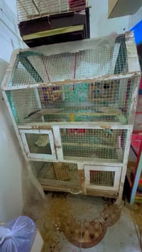 قفص خشب ثقيل • ٥ بيوت • حي فلسطين