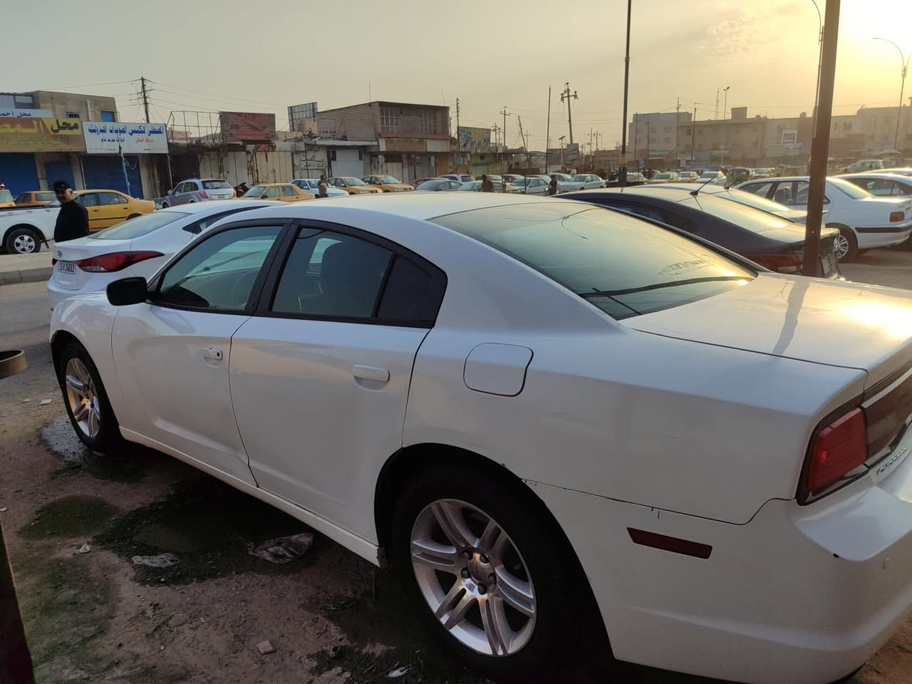 ١٢٠سعر ‭+٩٦٤ ٧٧٠ ٦٣٠ ٤٤٠٤‬


**إذا كنت صاحب هذا الإعلان وتريد حذفه لأي سبب، رجاءا أرسل رسالة إلى الدعم الفني**