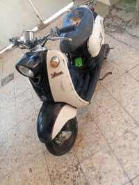 فينو • فول • شغّال