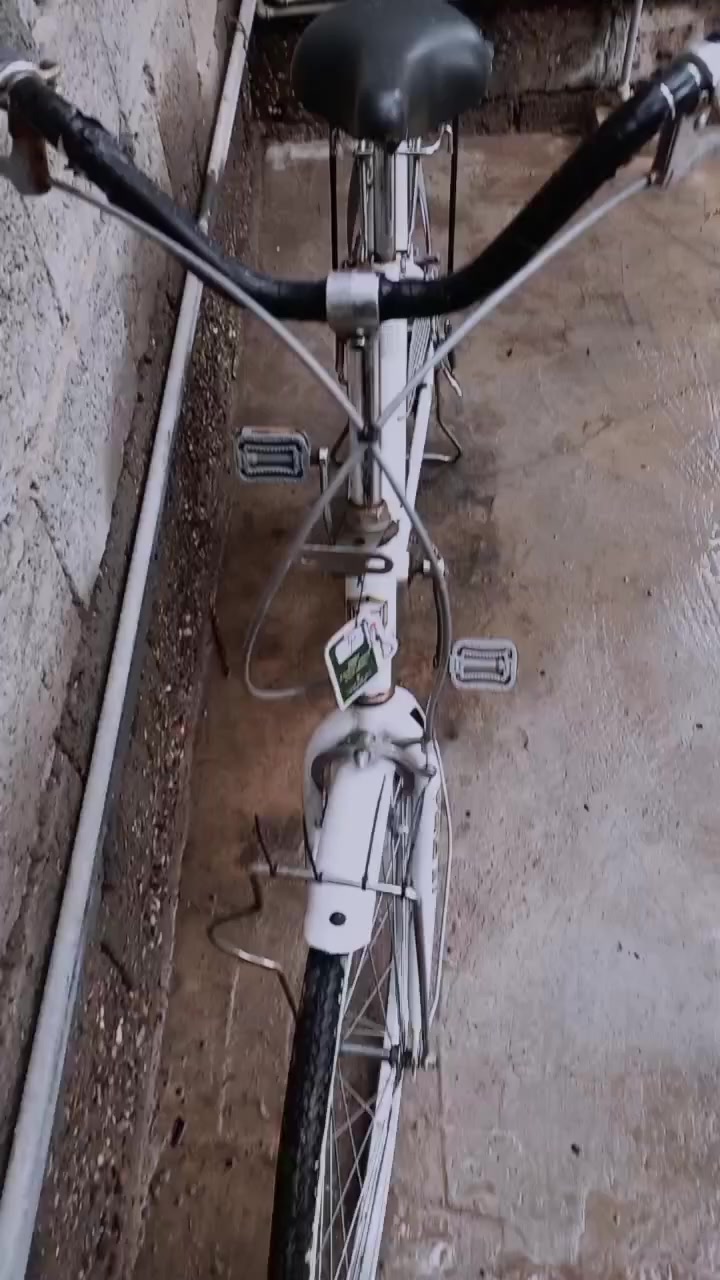 سلام عليكم باسكل نضيف كلشي مابي 👌
لا كو مراوس راوس كون نضافه حلو 💜
مكامك الصويره شارع المطار قرب مدرسه الزهير
حجم 26 👌هاذه رقمي بي واستاب ***********
