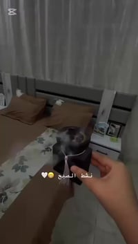 غرفة تركية • ٣ أشهر • للبيع