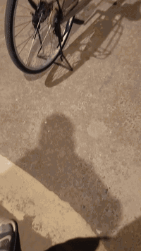 سلام عليكم
باسكل للبيع موديل 22نضافه فوول 
لون صحراوي مكان نجف حي نداء شارع بيتي ***********
