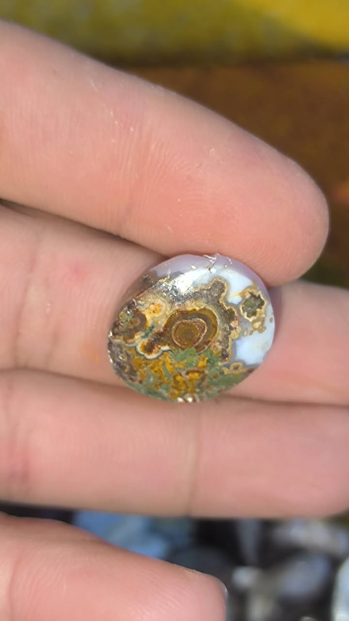 داودي يماني ملكي قطع تحف من نوادر 
اسعار مناسبة لجميع 
تعالو خاص وبخدمتكم


**إذا كنت صاحب هذا الإعلان وتريد حذفه لأي سبب، رجاءا أرسل رسالة إلى الدعم الفني**