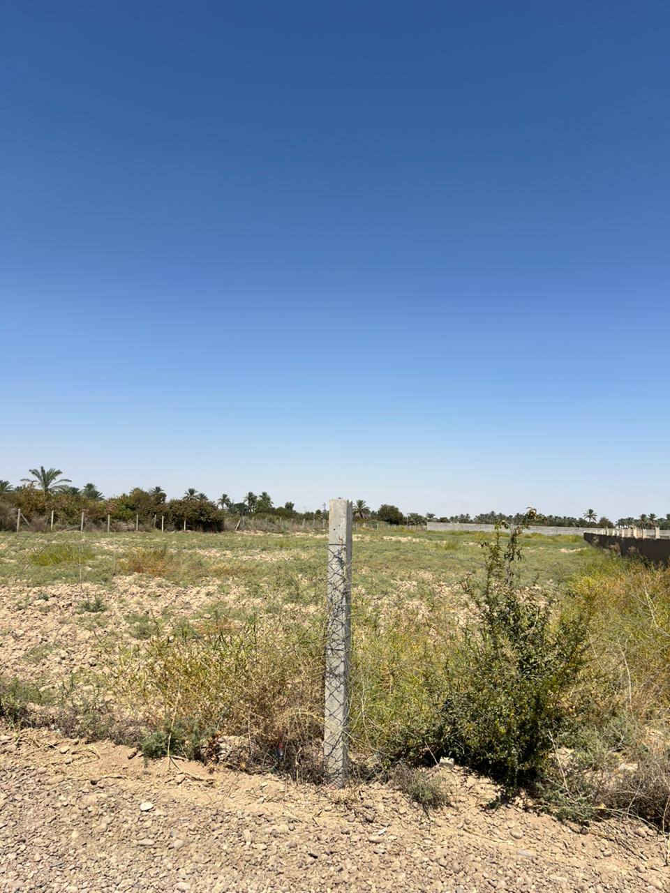 3 دوانم للبيع مدخل 1 خلف مزرعة في ومي مجاور المنتجعات  كافه الخدمات لها واجهتين الواجهة الأولى 45 الواجهة الثانية الجانبية 37
للأستفسار ***********
