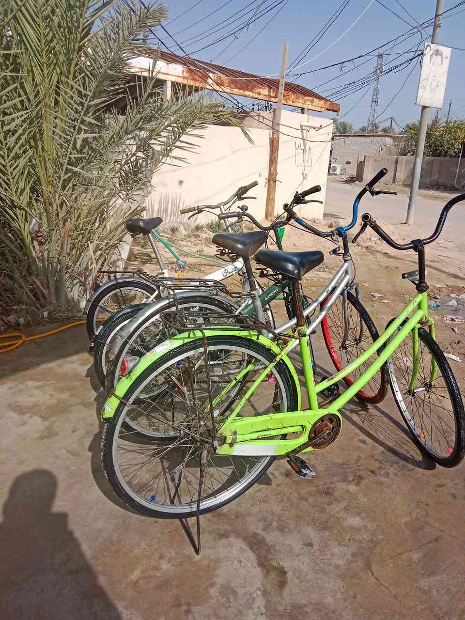 سلام عليكم باسكلات للبيع كلمن وسعره  ٢ مال حاويه و٢ مال شارع  مكان نجف كوفه ***********
