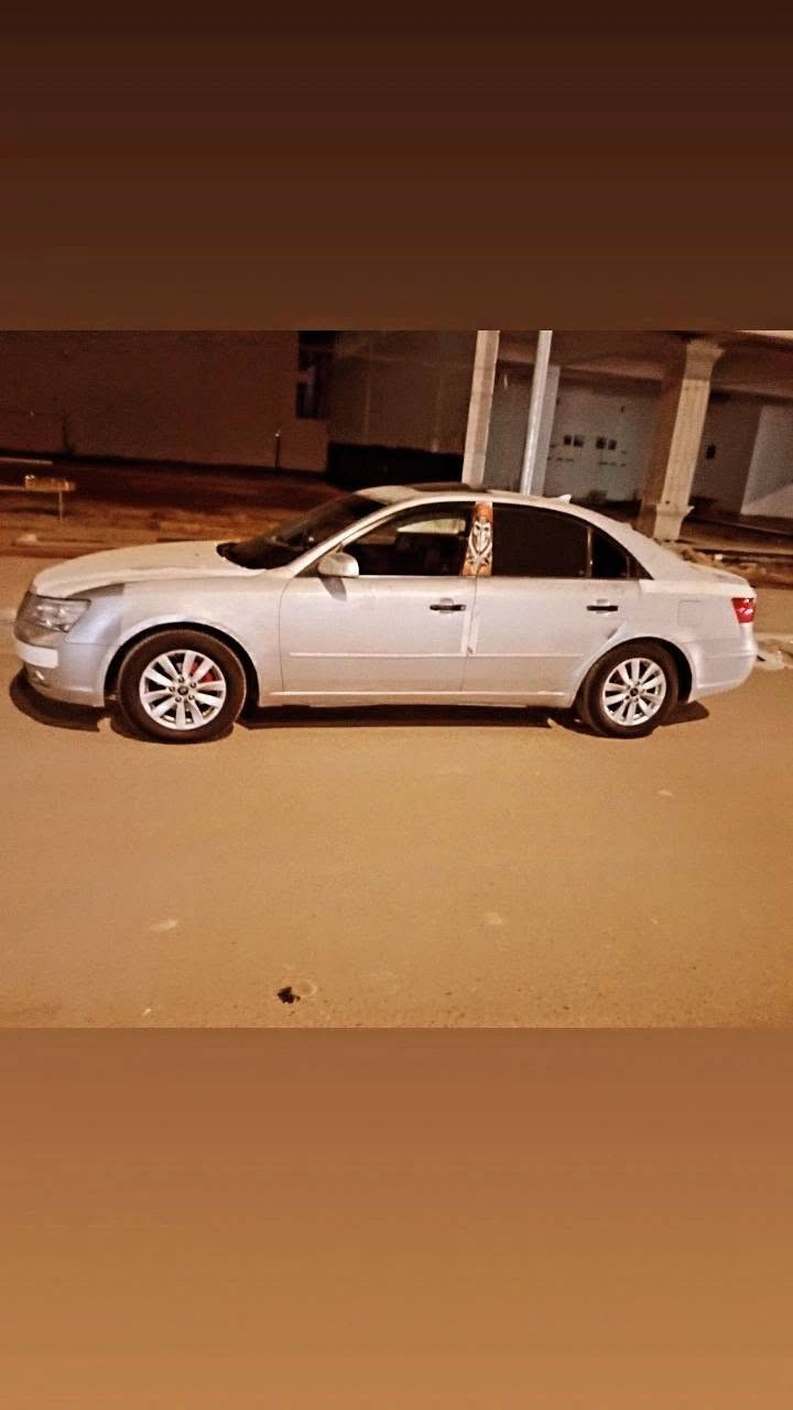 سلام عليكوم سياره سوناته 2009 فول مواصفات محرك 2400 رقم
انبار سياره جهزه من كلشي وضرره جبلغ الخلفي شبر ع بارد سياره ترايك البصره بس فقط جرده كله  بس اني ماصبغته علمود مينزل من سعره /متوصل ع رقم وبي واتساب
***********/السعر 115
