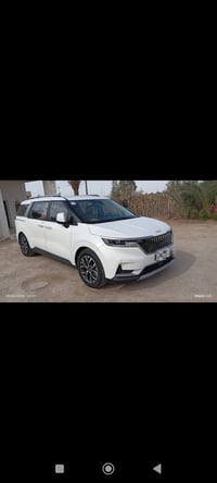 كرنفال • ٢٠٢٢ • ١١ راكب