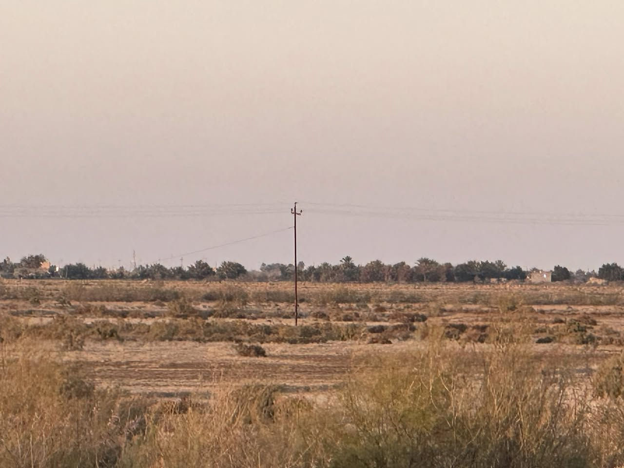 السلام عليكم ارض زراعيه. 
ماي وكهرباء. بنصها. 
محوله. كهرباء. بنصها. كاع كلها حلوه.وزراعيه 
عقد. زراعي. 
مكان. الكاع بين الرفاعي. ونصر. طريق كله. تبليط. قرب ناظم. رقم أربعه. 

مساحه. الأرض ٣٨ دونم. ***********
