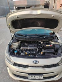 ريو ٢٠١٨ • رقم بغداد • كشنات جلد