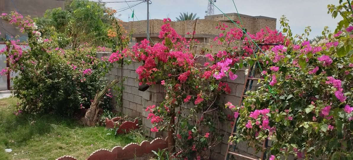 سلام عليكم من رخصت ابو الكروب بيت اللبيع طابو زراعي سند ٢٥ مساحة ٥٥٠م كونكريت يتكون من ٥غرف نوم وصالة واستقبال ومطبخ وصحيات داخلية وخارجية خدمات كاملة كهرباء وماء اسألة العنوان طريق السنية جهة زوار الاتصال على الرقم ***********
