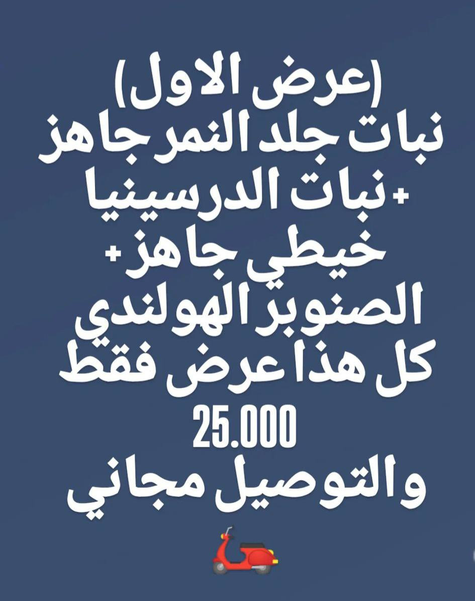 عروض بابونج اليوم فقط ✔️
خصومات تصل إلى 30٪ 
🌿 نباتات طبيعية ضلية وخارجية
🪴 سنادين بجميع الأحجام
🚿 مستلزمات وأسمدة زراعية
🎉 استغلوا الفرصة قبل نفاذ الكميات
📍 بابونج ستور – الجودة والسعر بصفك
⏰ لفترة محدودة
الحجز وتساب 
***********

