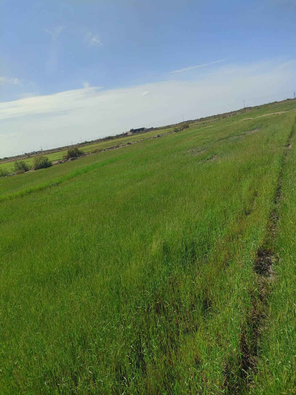 دغل 15 دونم للبيع 
العنوان* قضاء الدواية ال عمر قرية أبو الاطرش 
***********
